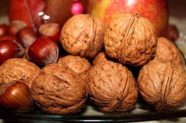 walnuts-558488_1280