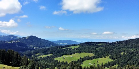 20170805_122401_HDRbis